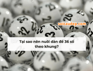 Có nên nuôi dàn đề 36 số khung 3 ngày