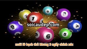 Nuôi lô bạch thủ khung 3 ngày chính xác