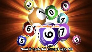 Nuôi lô bạch thủ khung 3 ngày