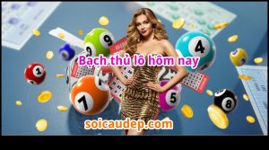 bạch thủ lô hôm nay