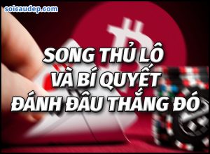 Kinh nghiệm và bí quyết chơi song thủ lô MB
