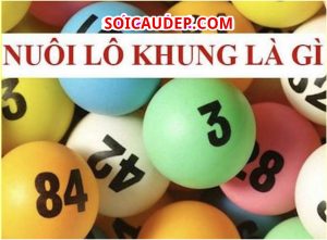 Lô bạch thủ khung 5 ngày là gì?