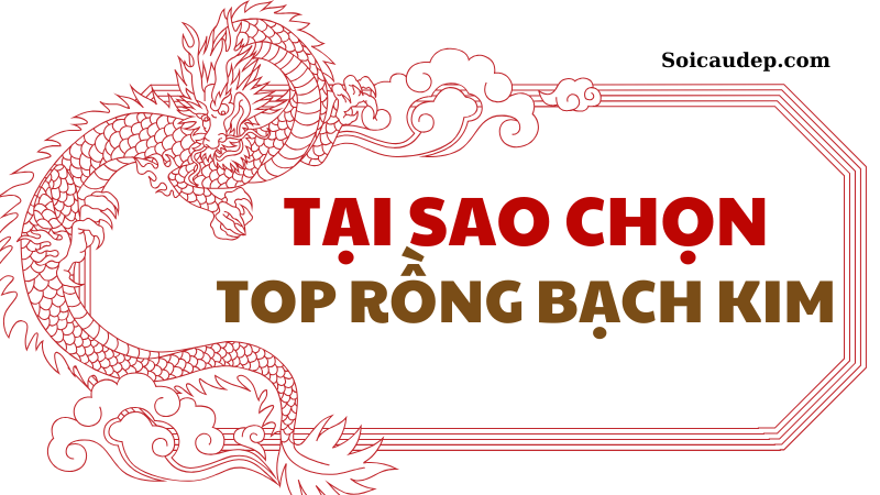 Tại sao nên lựa chọn soi cầu lô top rồng bạch kim