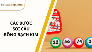 các bước soi cầu rồng bạch kim