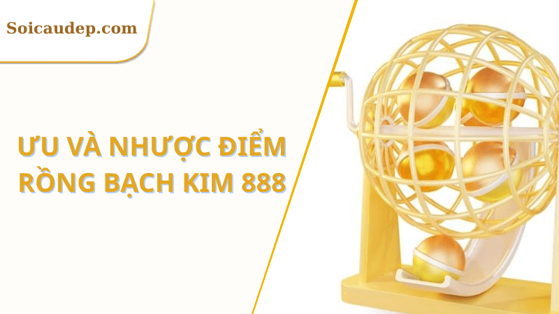 Ưu nhược điểm rồng bạch kim 888