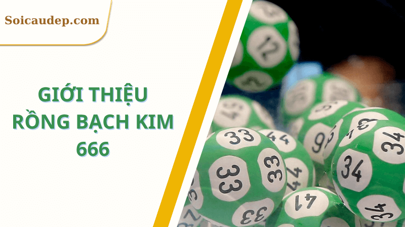 Giới thiệu rồng bạch kim 666