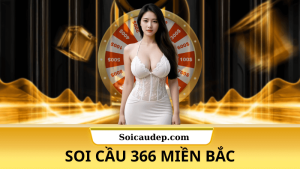 soi cầu 366