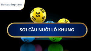 soi cầu nuôi lô khung