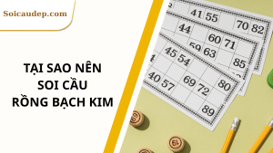 tại sao nên soi cầu rồng bạch kim
