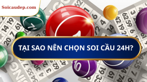 Lý do chọn soi cầu 24h