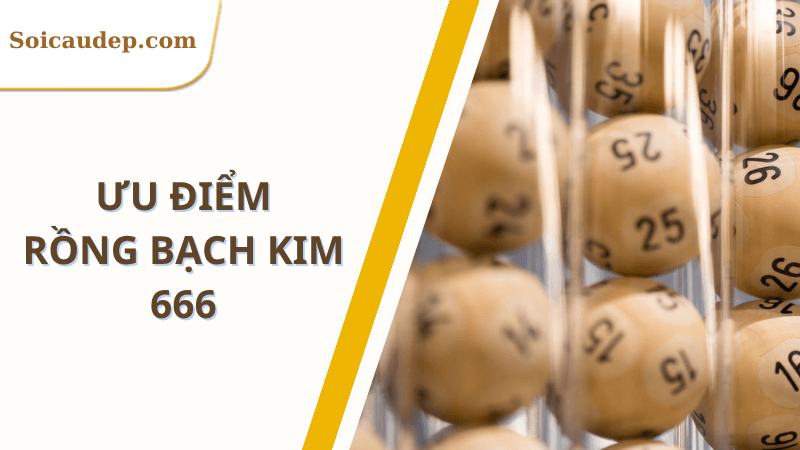 Ưu điểm rồng bạch kim 666